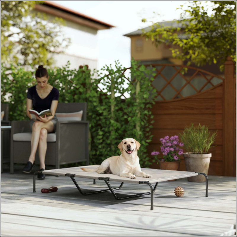 Lit de chien surélevé pour chien, Beige