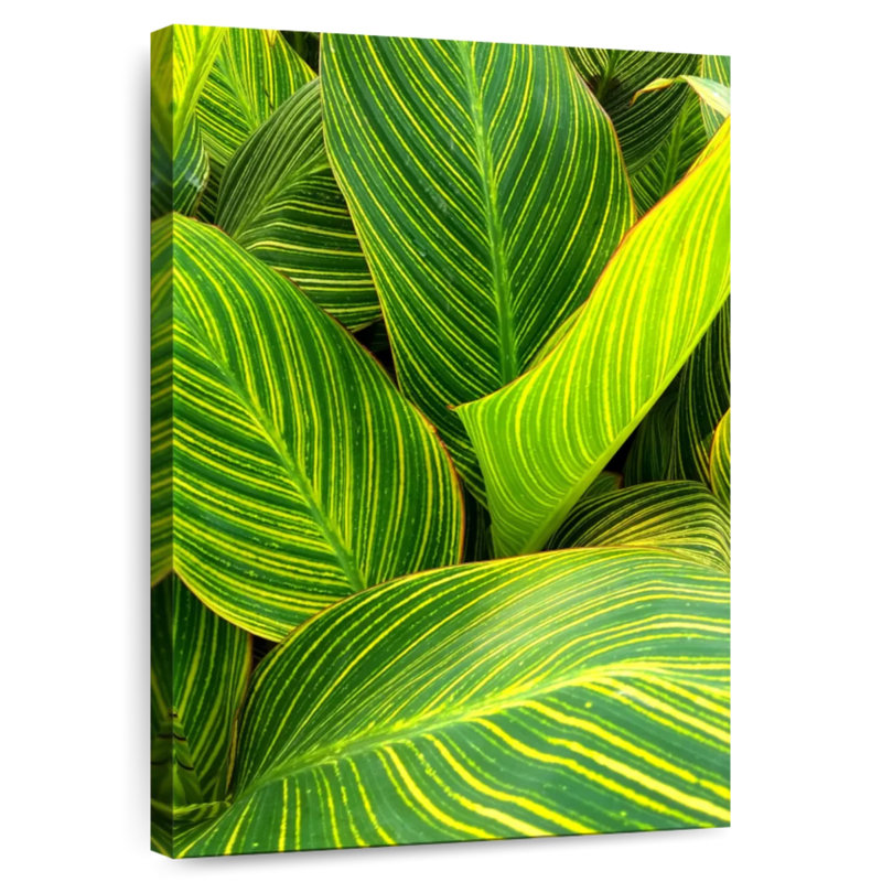 Harnek Striped Green Leaves, 51" H x 34" W