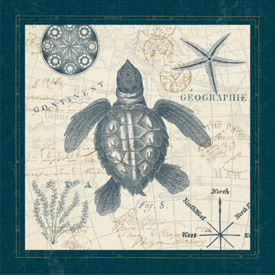 Ocean Life VI - Wrapped Canvas Painting
