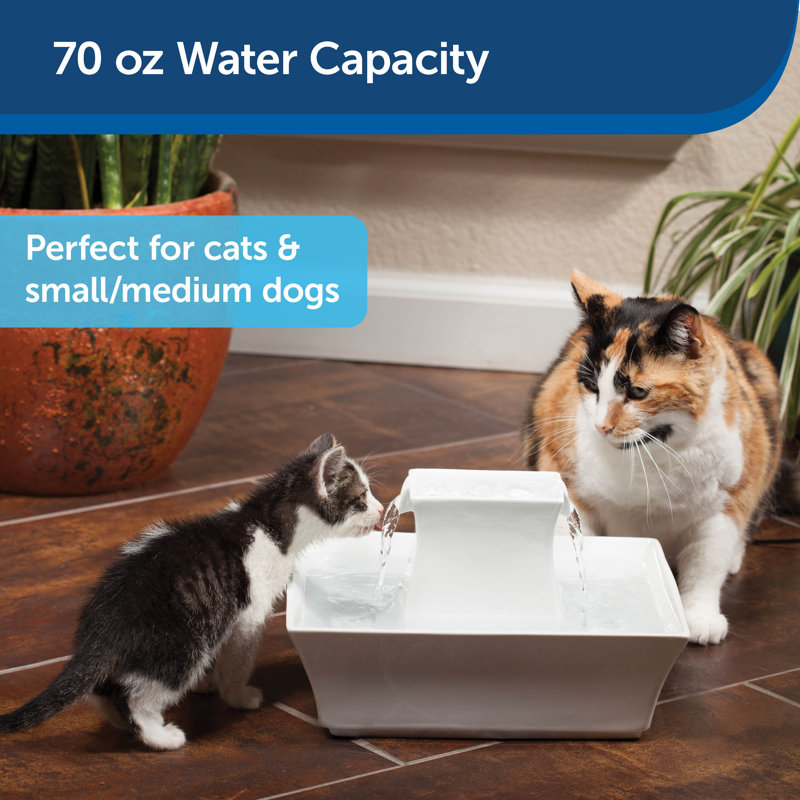 PetSafe Drinkwell Pagoda Pet Fountain, White, White