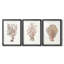 Terra Cotta Coral I - reproduction sur mesure encadrée de qualité supérieure - 3 pièces-268661157-268661156