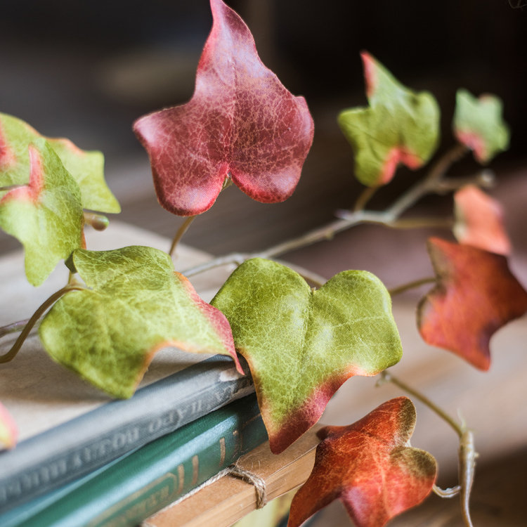 Branche de ivy rustique automne, 5 tiges