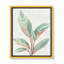 Gingembre II - reproduction d'art-55542000-55542019