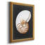 Graphic Nautilus " Graphic Nautilus "-953275478