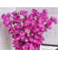 Arrangement Peach Blossam-339249304