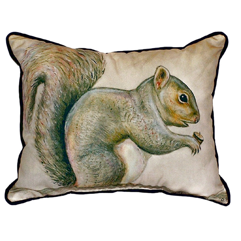 Squirrel Outdoor Throw Pillow