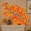 Feuilles d'érable, lumières de vigne de saule enchantées, 3,9 pi / 48 lumières DEL de couleur d'érable à 2 branches pour mur, minuterie à distance, modèle 8 lumières, portes de chambre à coucher mariage, Noël (3,9 pi / 48 DEL)
