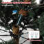 Christmas Tree-134486475