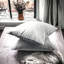 Coussin Carmalita-1865896638