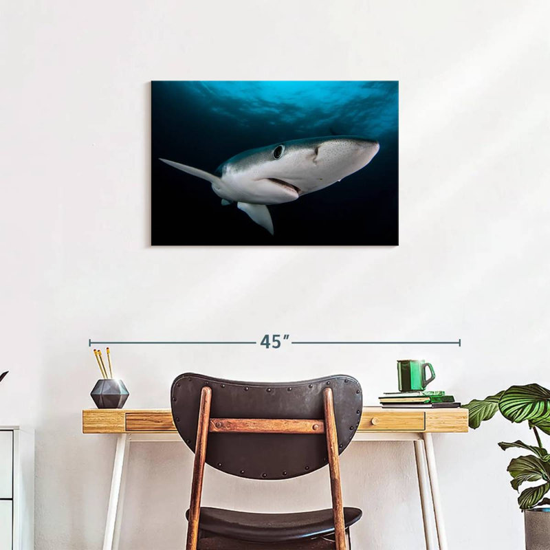 Brampt Underwater Blue Shark, 20" H x 30" W