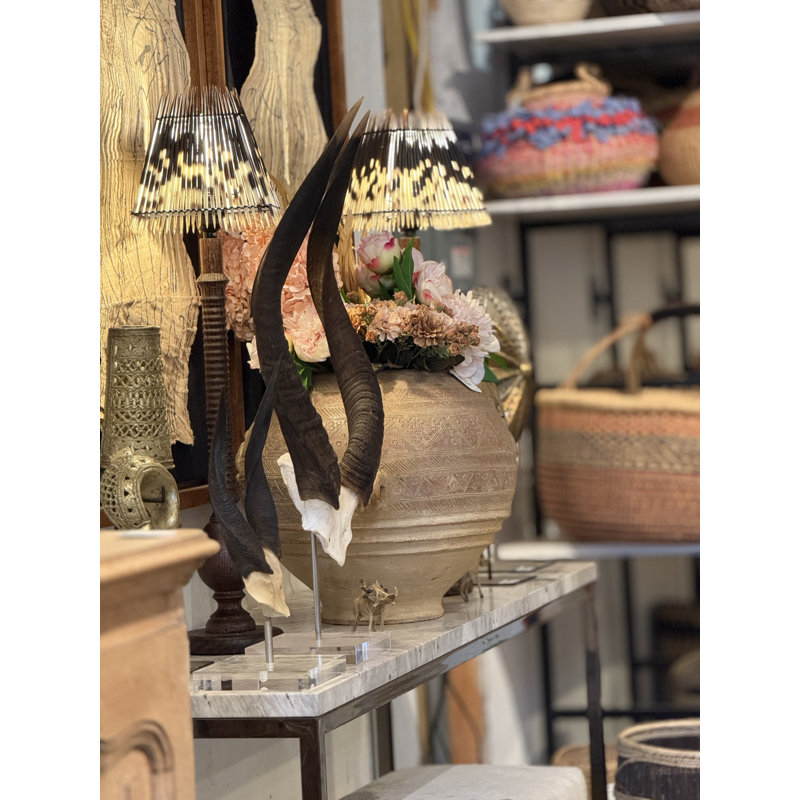 African Nyala V-Skull on Lucite Stand