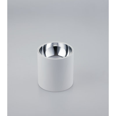 Acrylic LED Flush Mount