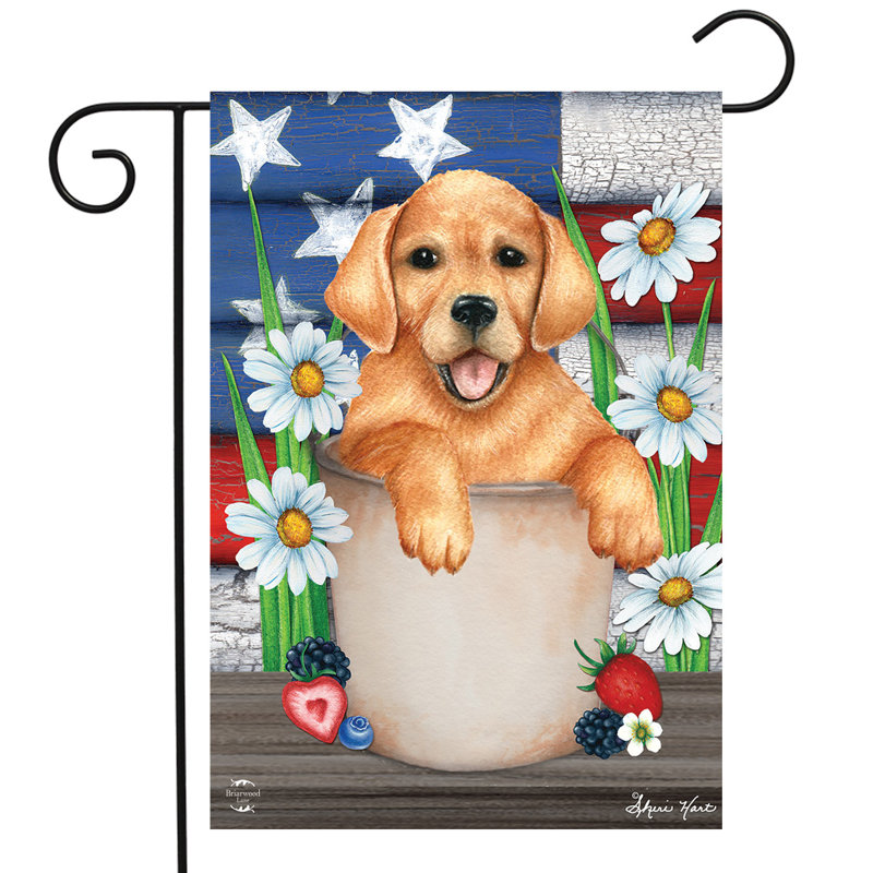 Drapeau de jardin American Lab Spring