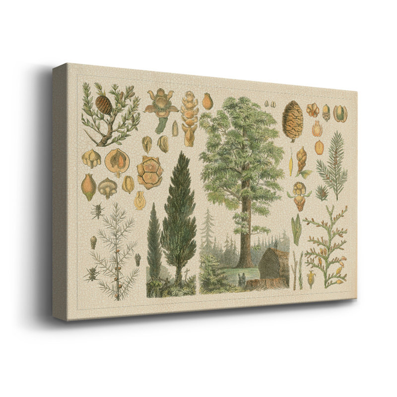 " Arbor Collection ", 12" W x 8" H