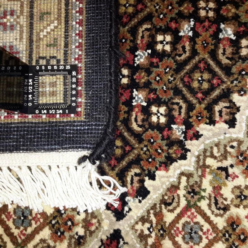 Losh Oriental Area Rug in Black