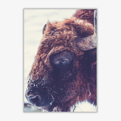 Bull - Print