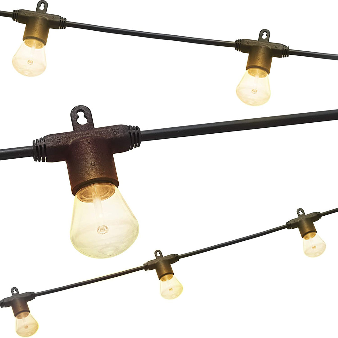 Enbrighten 24-ft Outdoor LED Bistro Lights Arlmont & Co.
