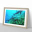 Dolphins - Picture Frame Painting-62751824-62751825