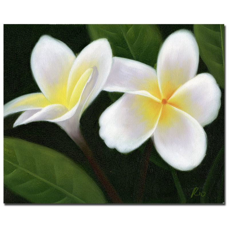 Hawaiian Lei Flowers Canvas Art in White and Green