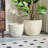High quality ceramic flowerpot