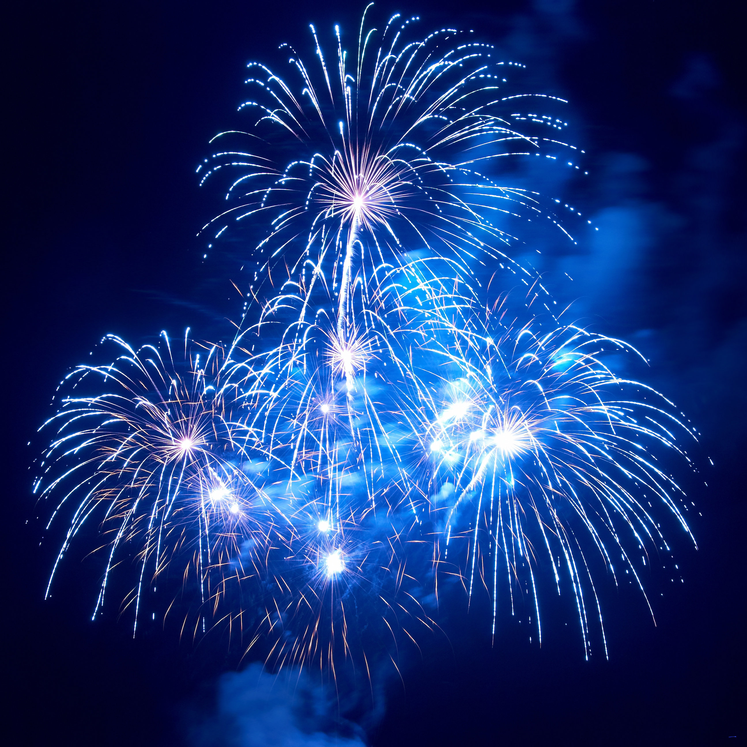 Ebern Designs Beautiful Fireworks by Dovapi - Wrapped Canvas Photograph ...