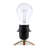 Caistor Kinki Table Lamp-510872851