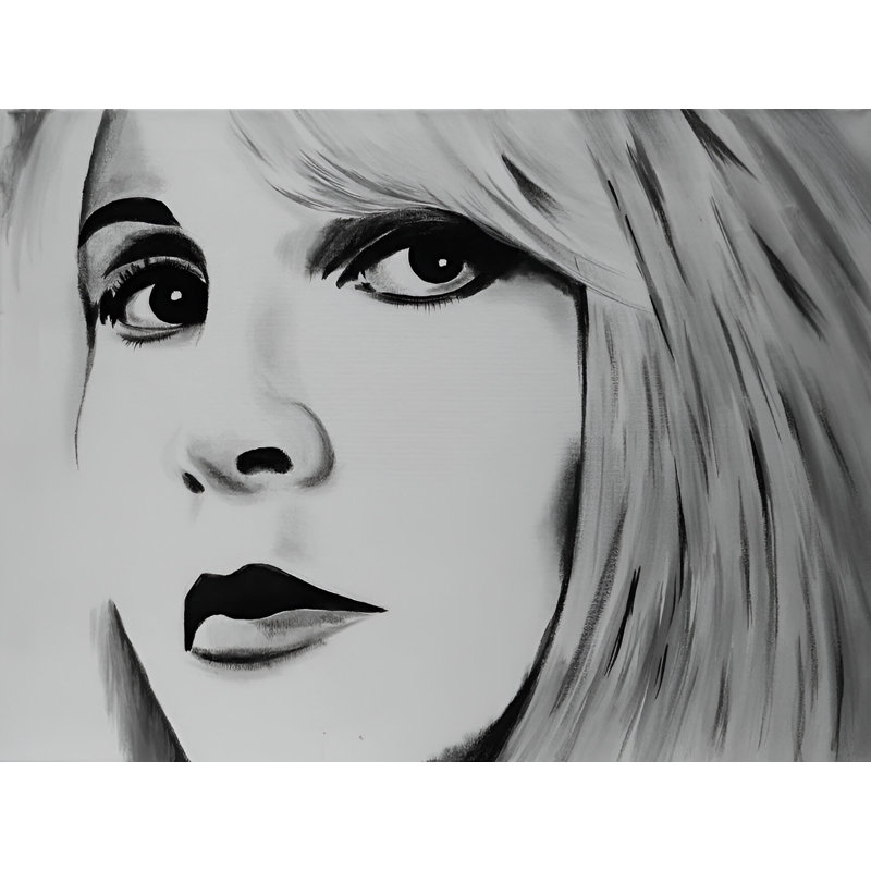 " Stevie Nicks ", 12" H x 16" W