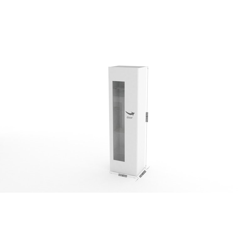 Bhavishya 0 - Door Rectangle Accent Cabinet