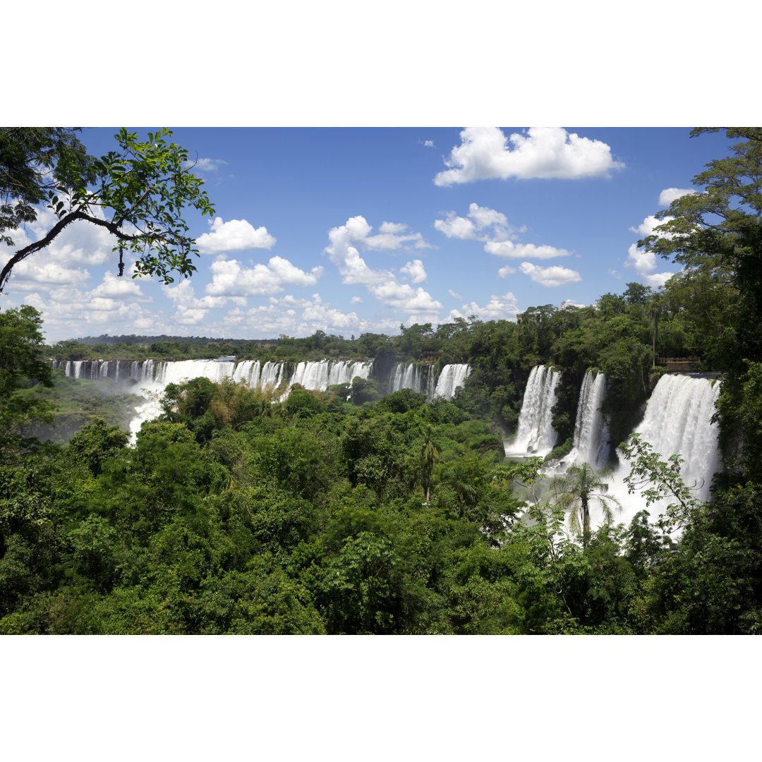 Iguazu Falls And Rainforest by Djgunner - Drucken