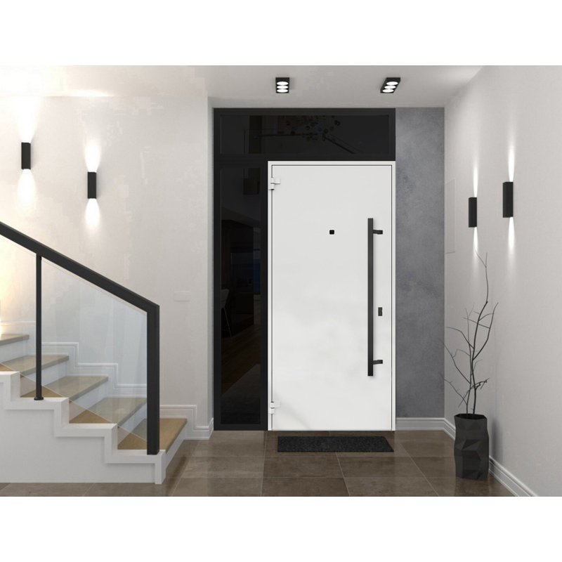 Modern Black Enamel Steel Double Door with Sidelites