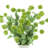 Echinops Arranged in Ceramic Vase-1671508975