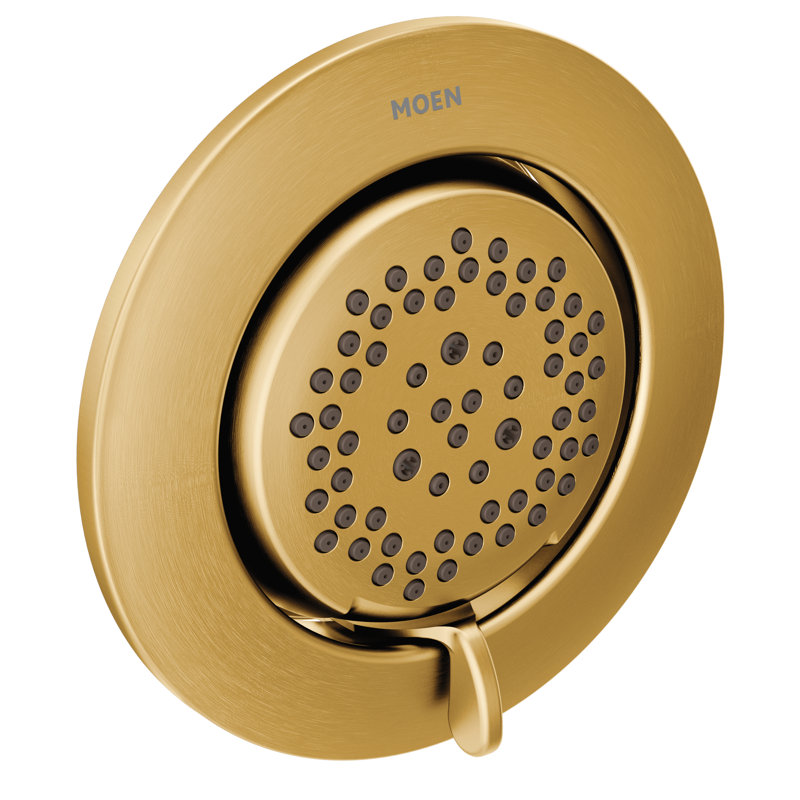 Mosaic Multi Function Adjustable Shower Head, Brushed Gold