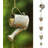 Hanging Rain Bell