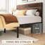 Iron Bed
