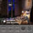 Alisan Ceiling Fan with LED Lights-1457592602