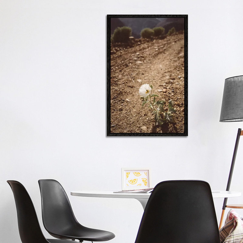 Yosemite Bloom III by Bethany Young - Print on Canvas, Black Framed, 101.6cm H x 66.04cm W x 3.81cm D