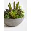 29cm Faux Succulent Plant in Stone Planter