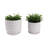 Textured Indoor or Outdoor Planter with Saucer for Patio or Living Room Styling - Modern Indoor Planter Flower Pot Accent for Home Decor - Set of 2, Beige-913906408