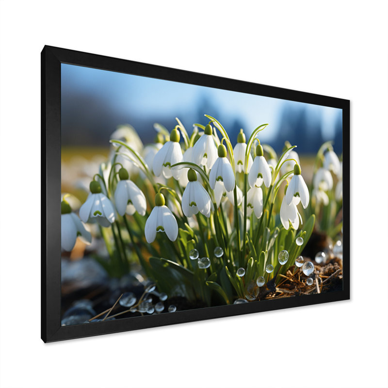 White Green Snowdrops Field III - Floral Wall Decor, Cadre photo noir, H 16 po x l 32 po x P 1 po