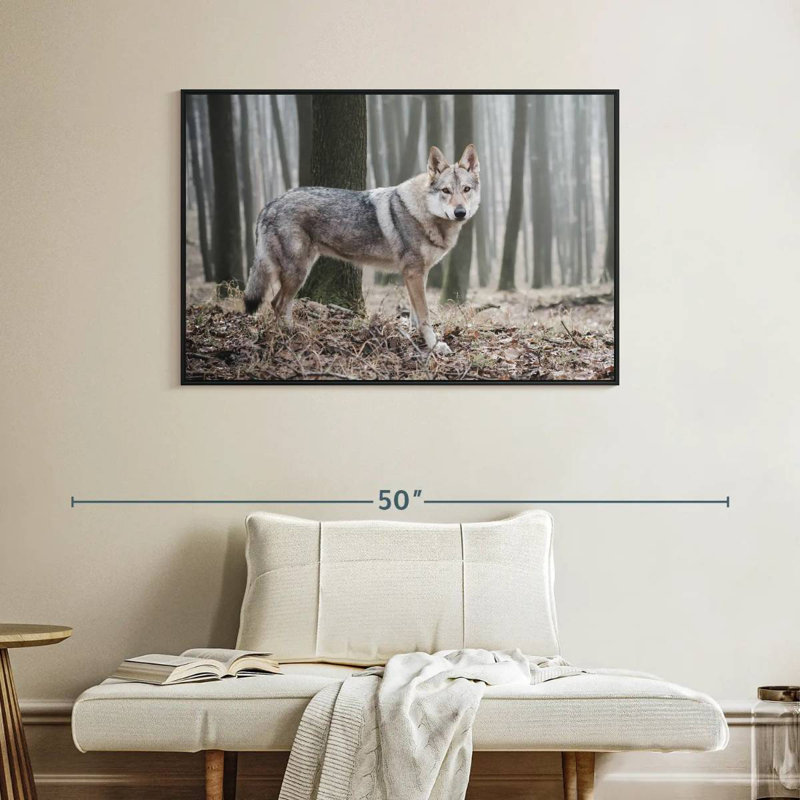 Loup d'hiver brumeux, Cadre flottant noir, 40 po x 27 po