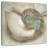 Aletra Coastal Gems IV-109227019