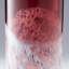 Perdita Glass Table Vase-38643290