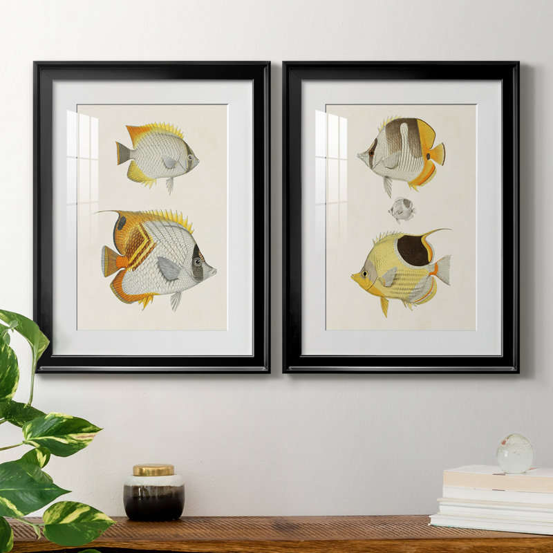«Yellow and Gray Fish I», reproduction encadrée de qualité supérieure - prête à être accrochée, Cadre noir