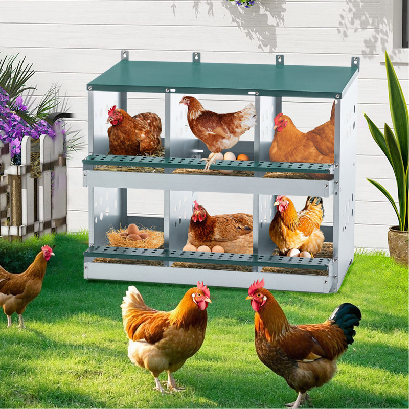 Boîte de nidification à 6 compartiments pour poules pondeuses, boîtes de poules roulantes, vert