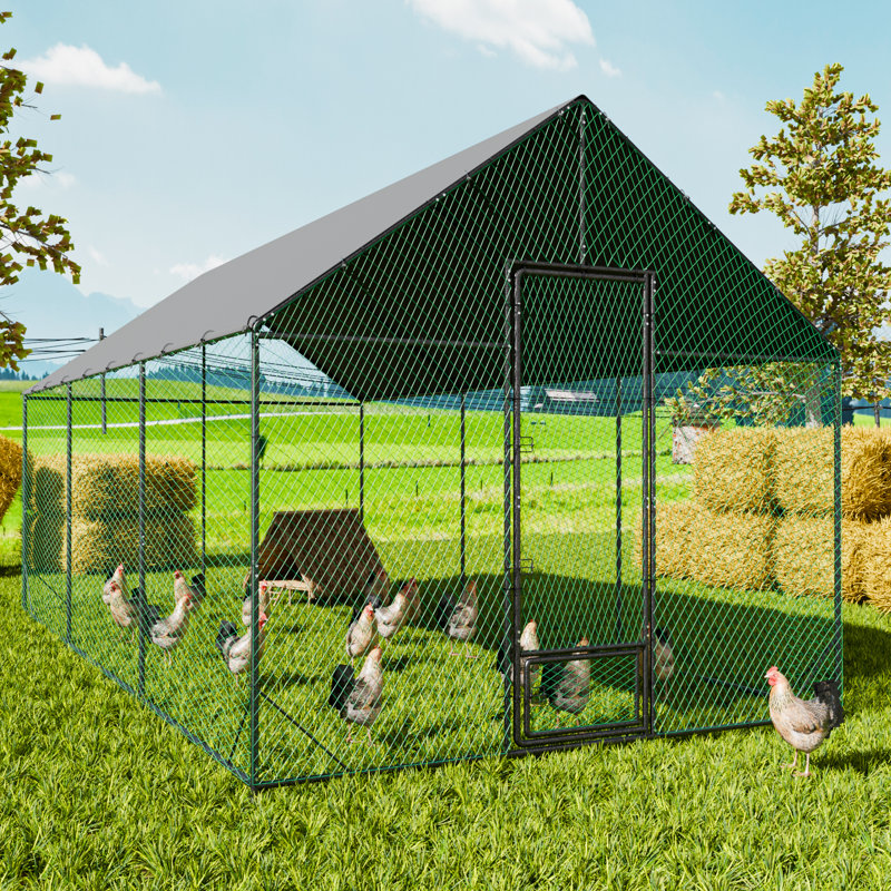 Chicken Run, 276cm H x 300cm W x 602cm D