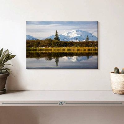 Alvord Denali Greenwoods