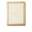 Martin Metal Picture Frame-44429970