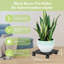 Support pour plante Deran-198298931
