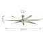 Raziya 80cm Ceiling Fan
