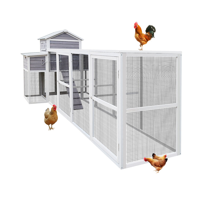 Poulailler très grand 150 po - 33,91 pi² poule en bois avec fil métallique antirouille noir, 2 nichoirs, 5 perchoirs pour la volaille, cage à poulet 33,91 pi²